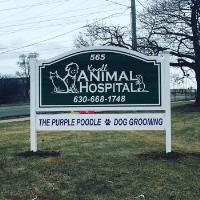 Knoll Animal Hospital image 1